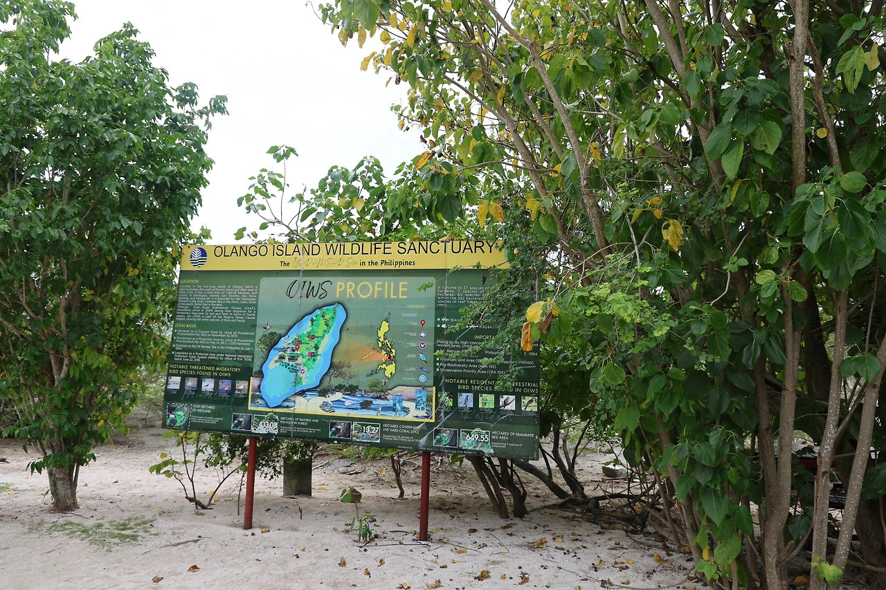 0R5A0832_новый размер.JPG