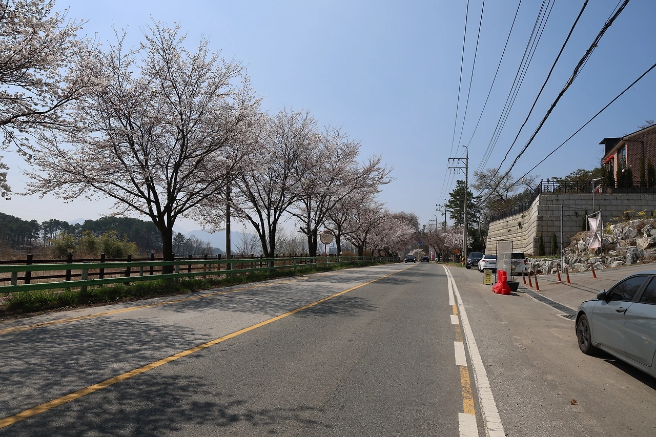 0R5A7151_новый размер.JPG