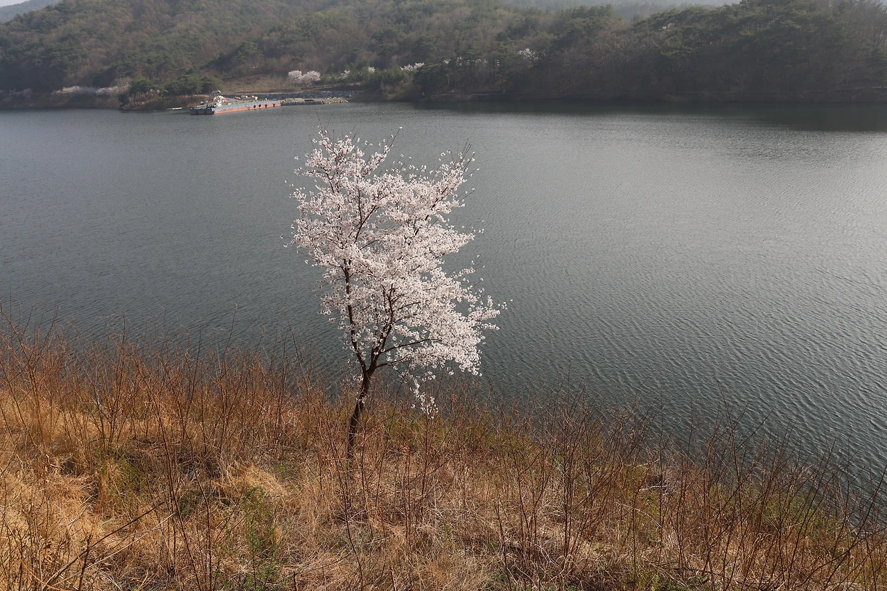 0R5A7946_новый размер.JPG