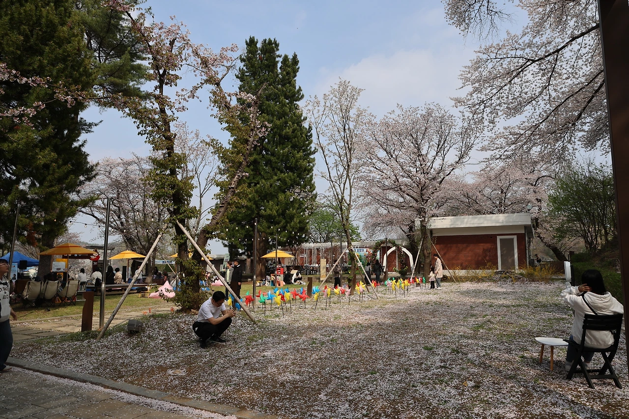 0R5A7859_новый размер.JPG