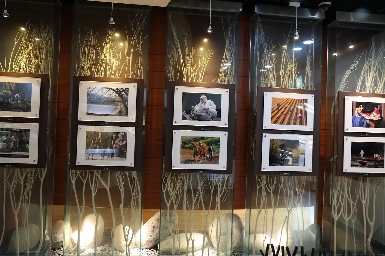 0R5A9327_новый размер.JPG