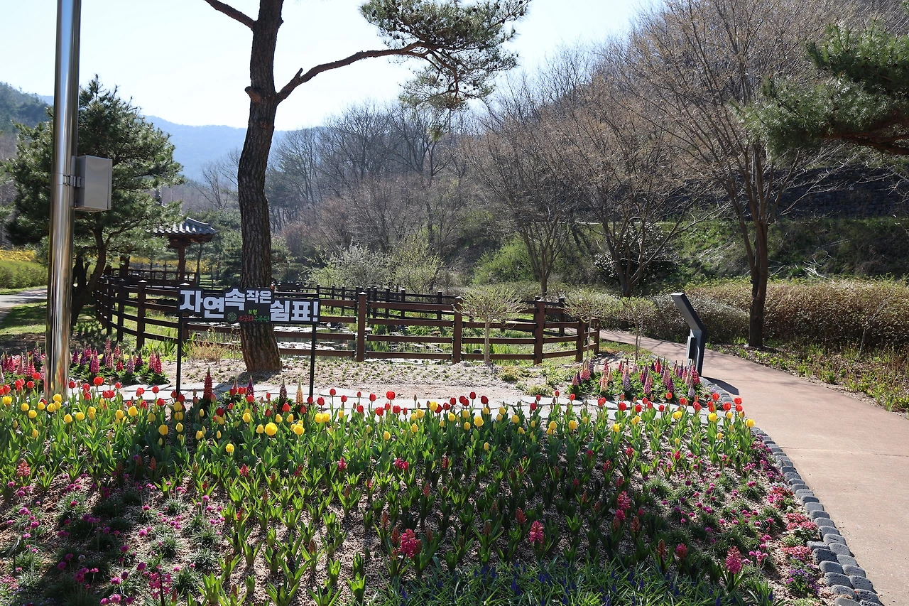 0R5A7803_новый размер.JPG