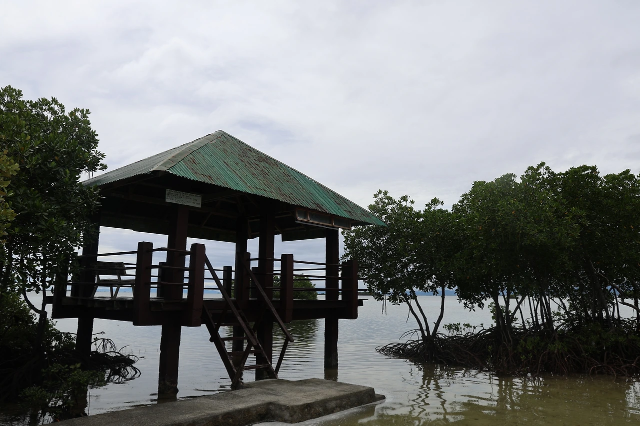 0R5A0879_новый размер.JPG