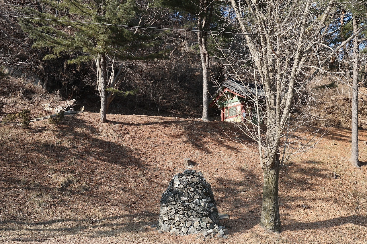 0R5A1288_новый размер.JPG