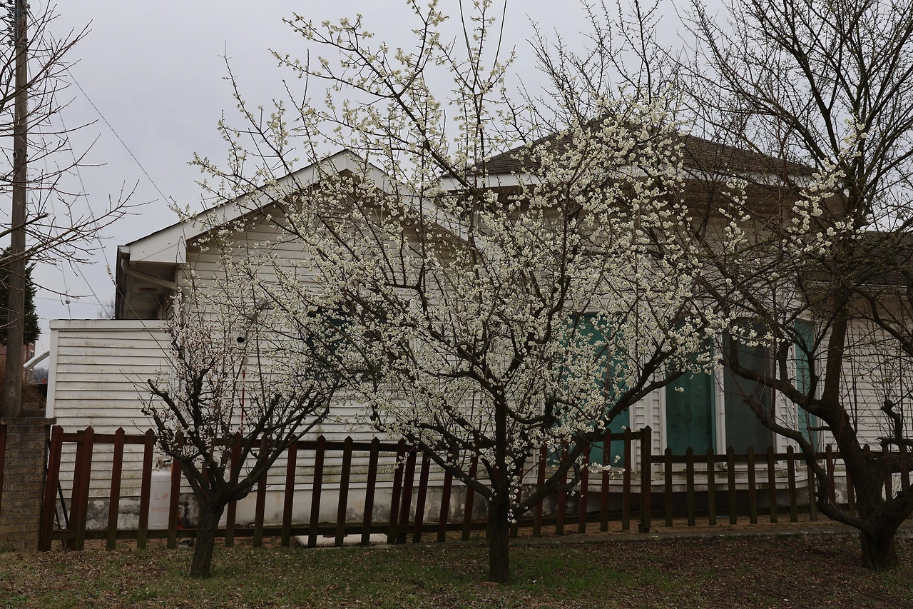 0R5A6710_новый размер.JPG