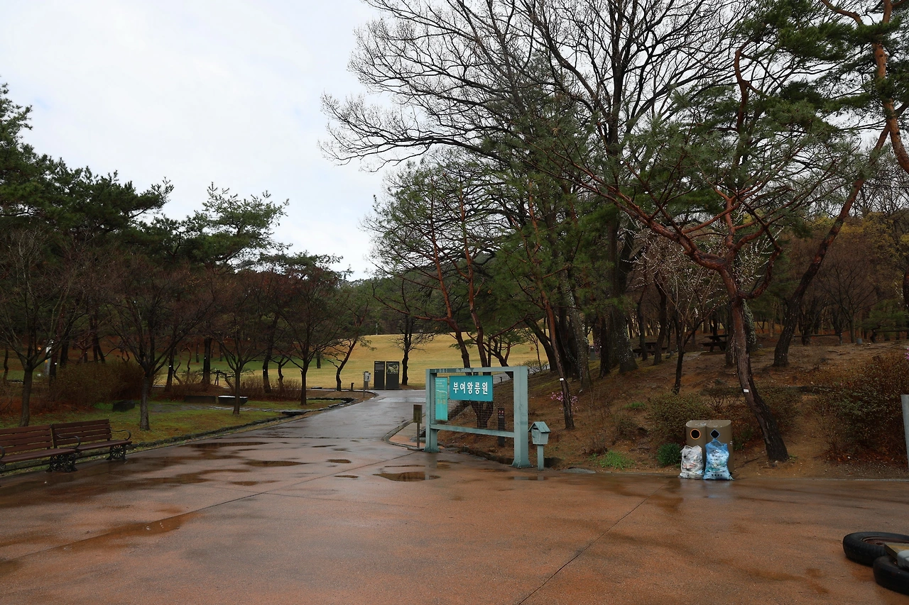 0R5A7277_новый размер.JPG