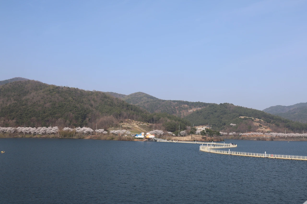 0R5A7954_новый размер.JPG