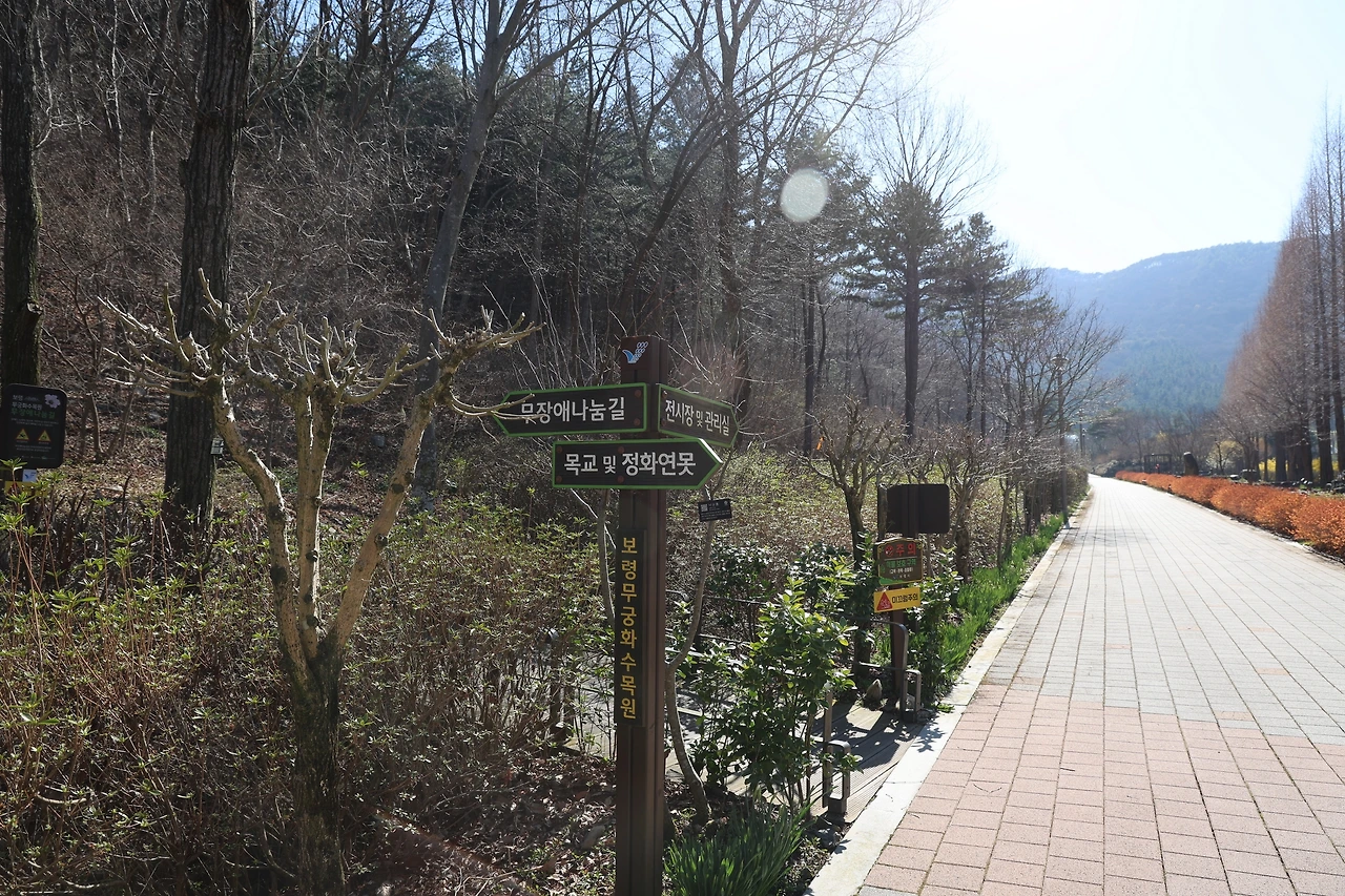 0R5A7812_новый размер.JPG