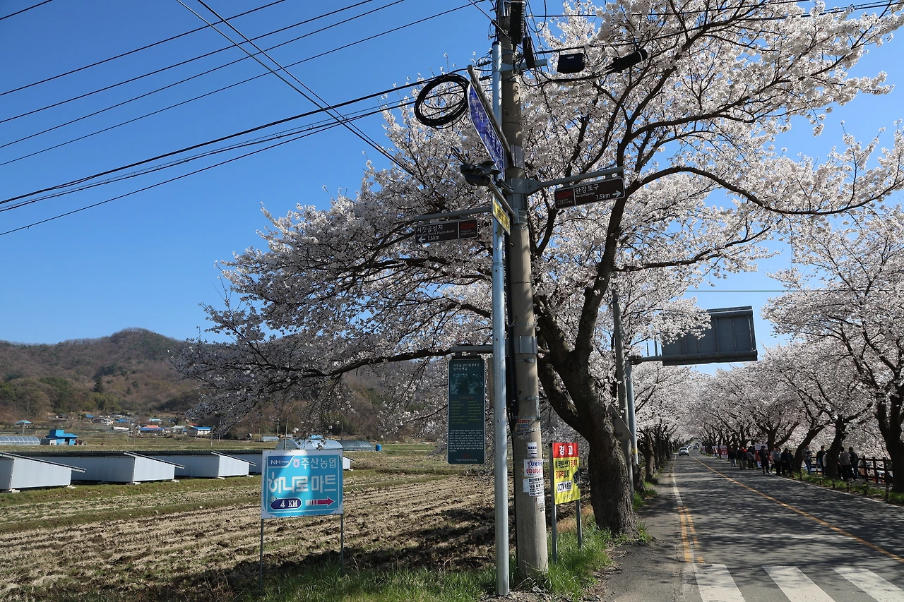 0R5A7776_новый размер.JPG