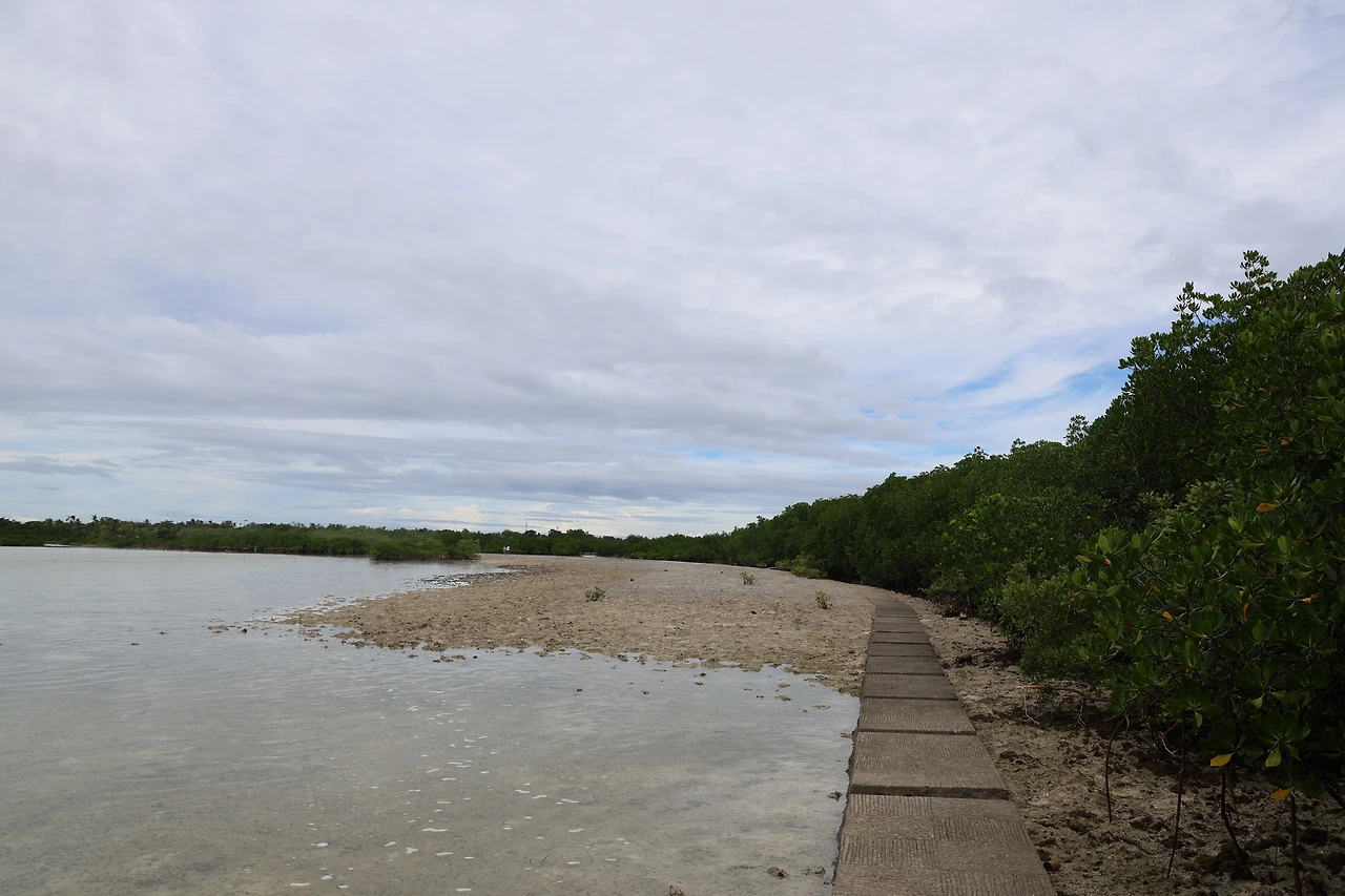 0R5A0878_новый размер.JPG