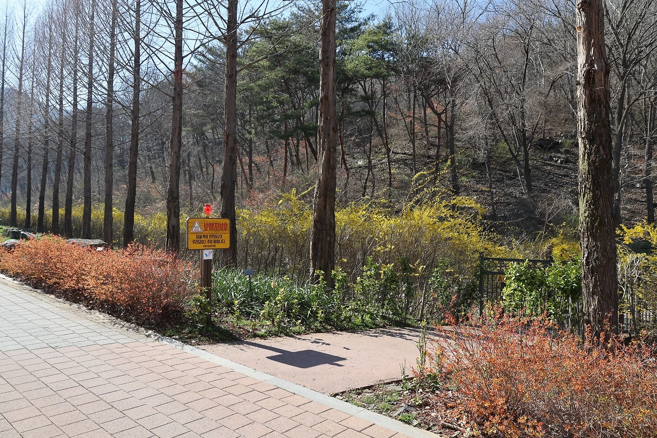 0R5A7813_новый размер.JPG