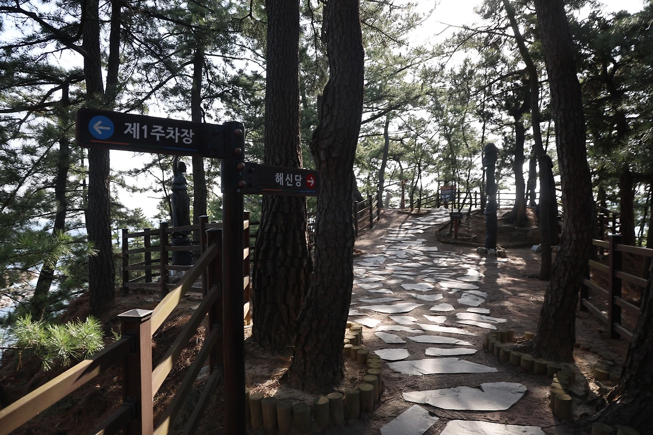 0R5A2052_новый размер.JPG