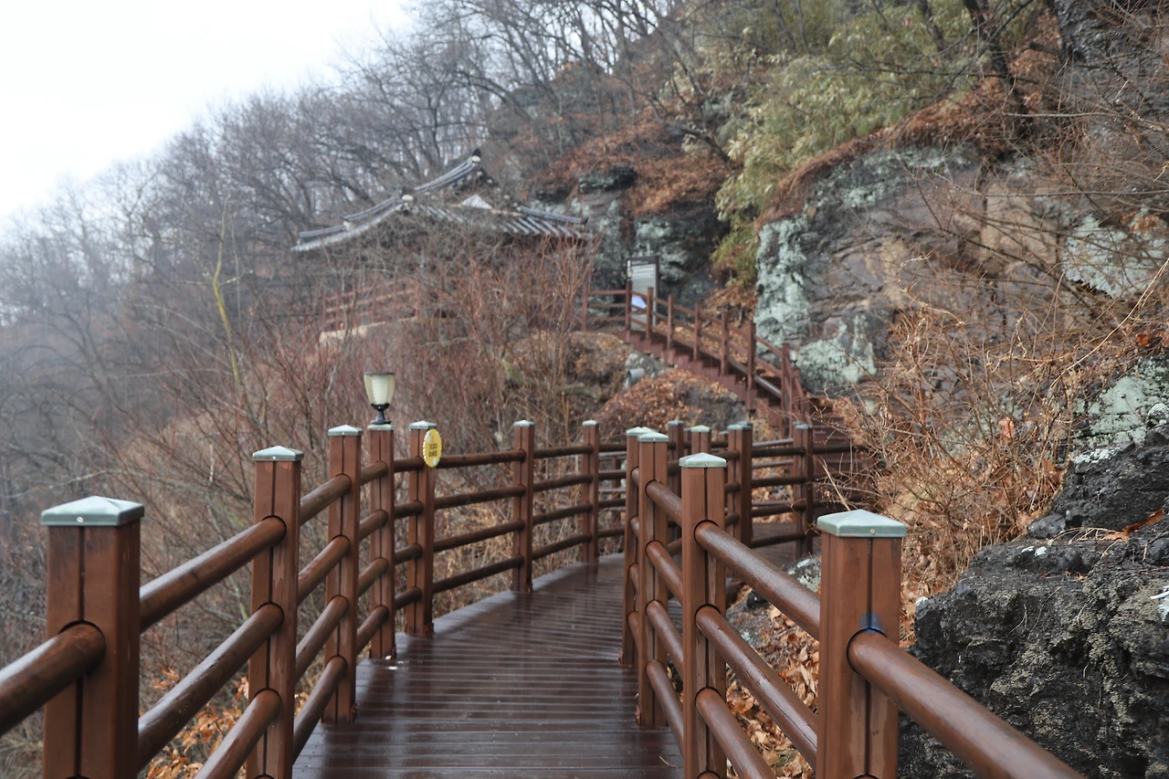 0R5A3102_новый размер.JPG