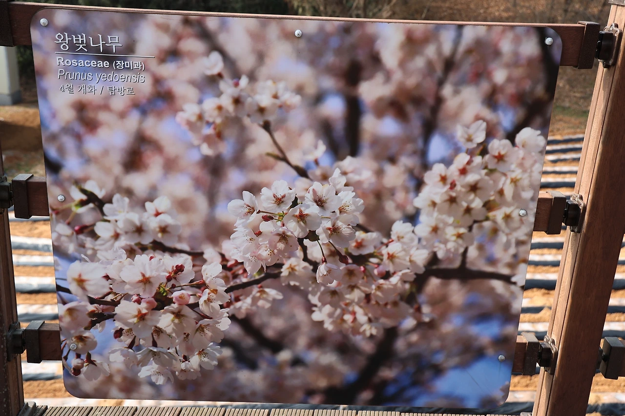 0R5A5281_новый размер.JPG