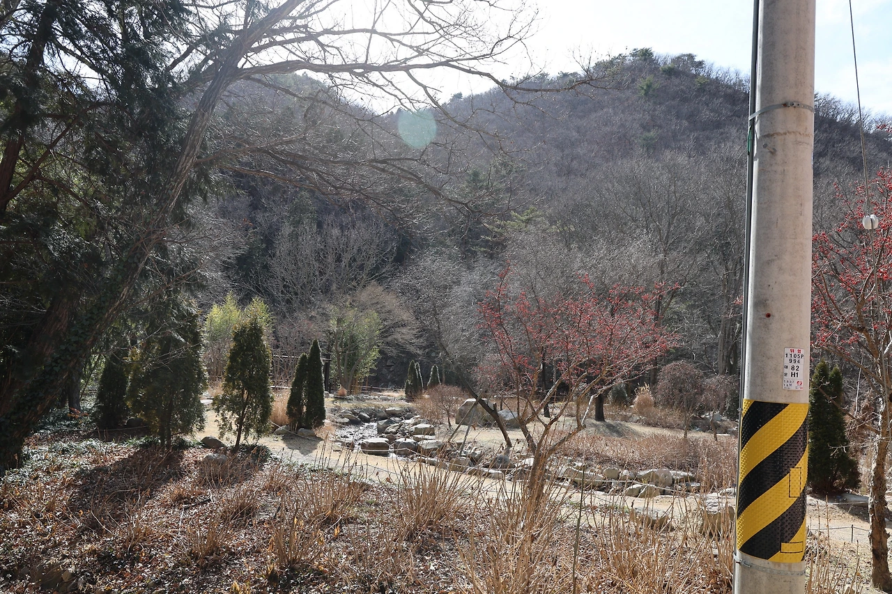 0R5A0276_новый размер.JPG