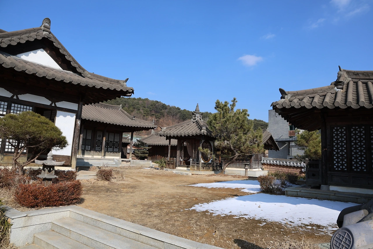 0R5A9585_новый размер.JPG