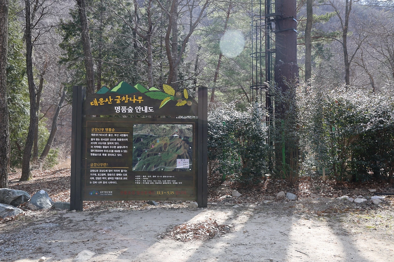 0R5A0282_новый размер.JPG