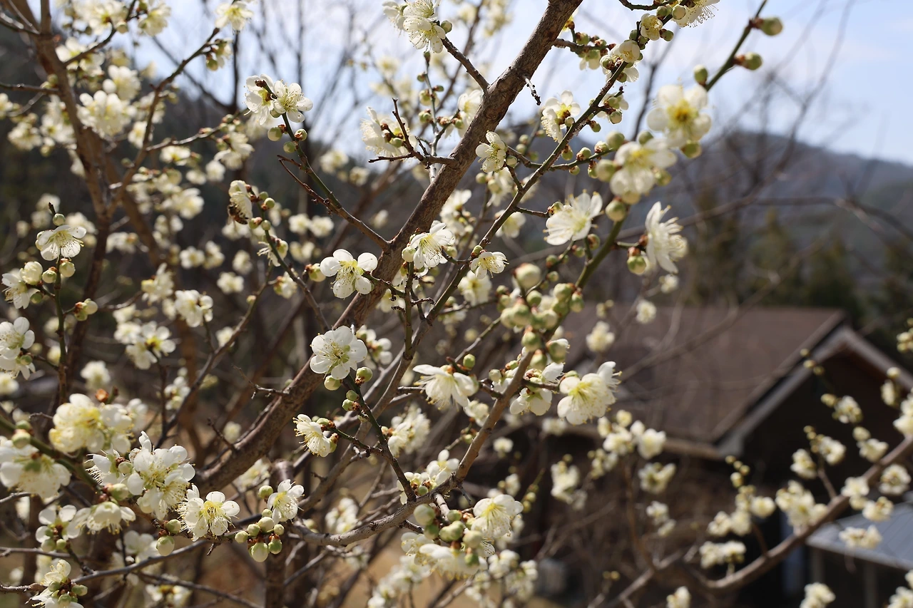 0R5A5816_новый размер.JPG