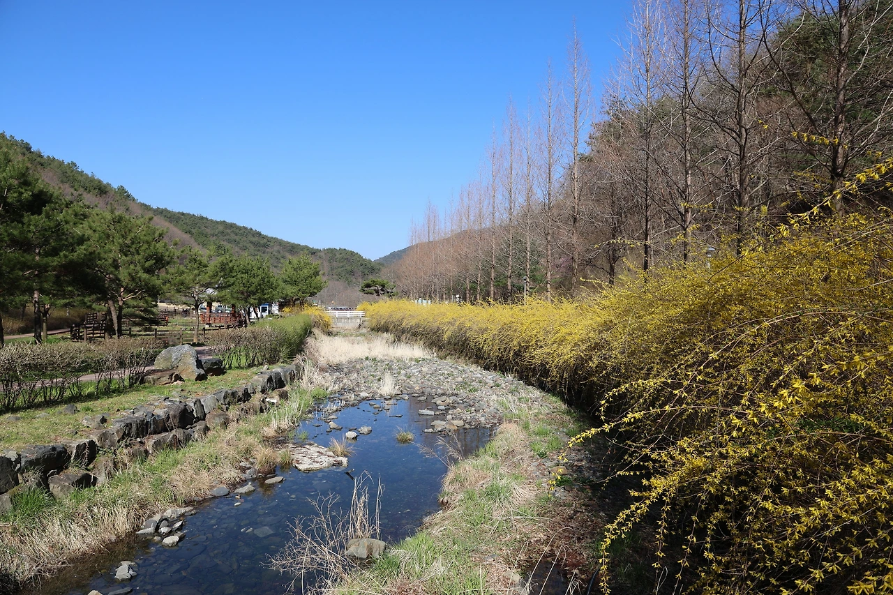 0R5A7826_новый размер.JPG