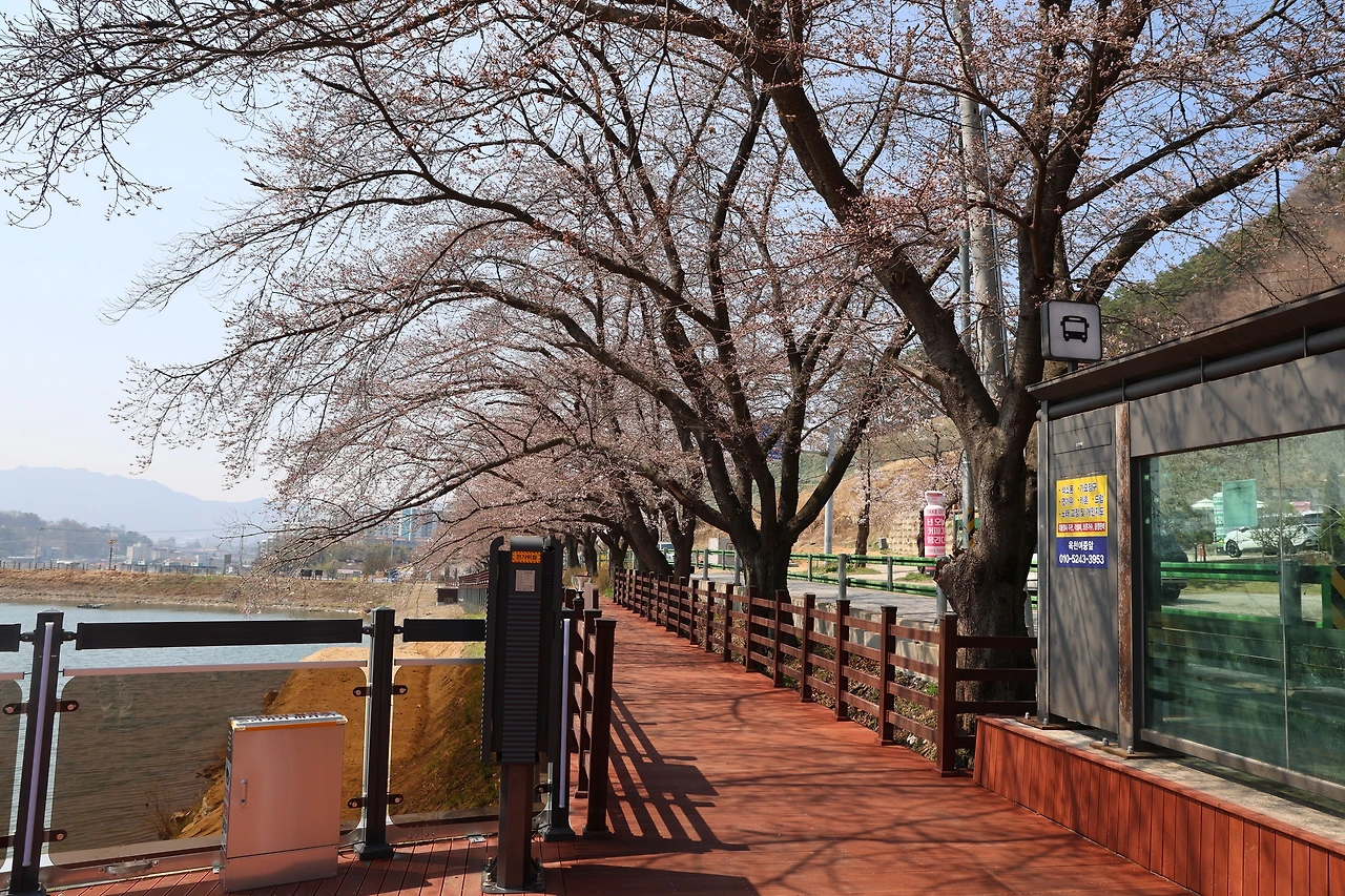 0R5A7159_новый размер.JPG