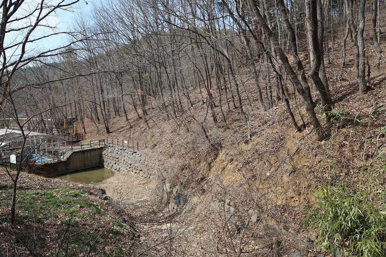 0R5A5804_новый размер.JPG