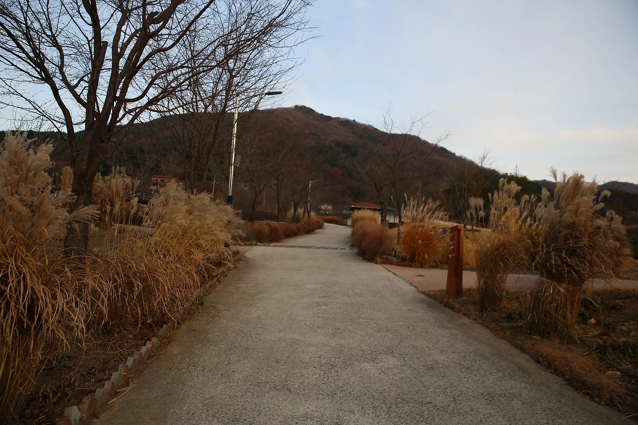 MG0A3785_новый размер.JPG