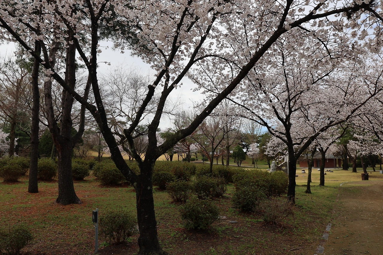 0R5A7332_новый размер.JPG