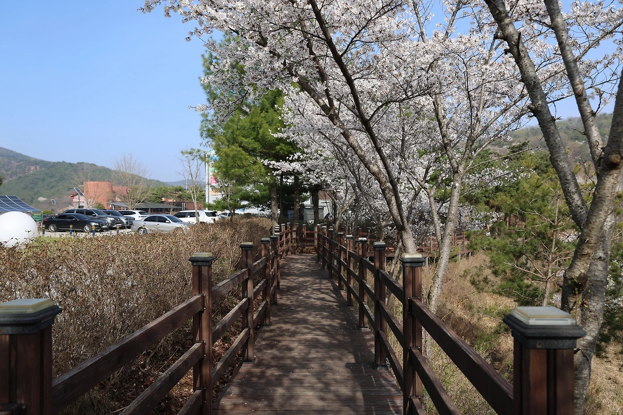 0R5A7945_новый размер.JPG