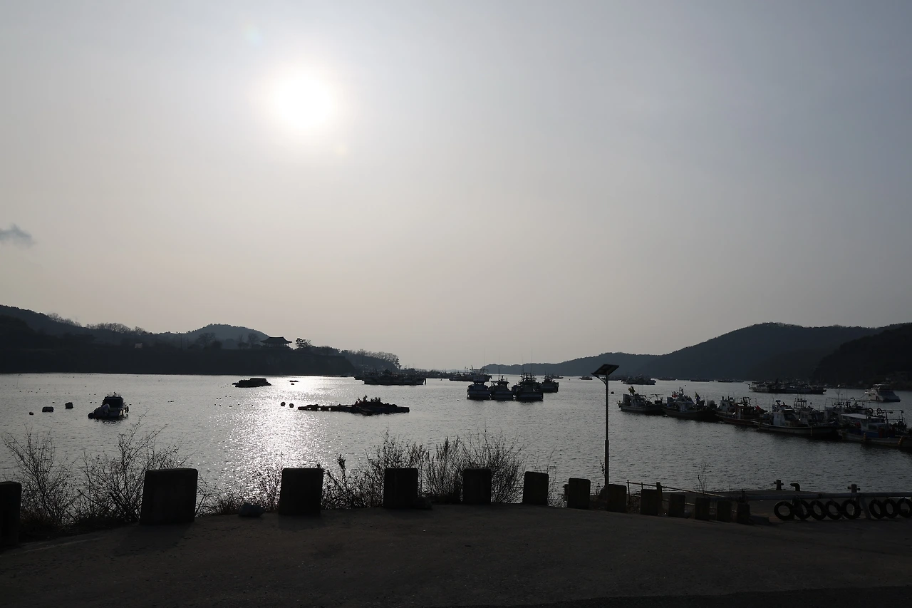 0R5A9637_новый размер.JPG