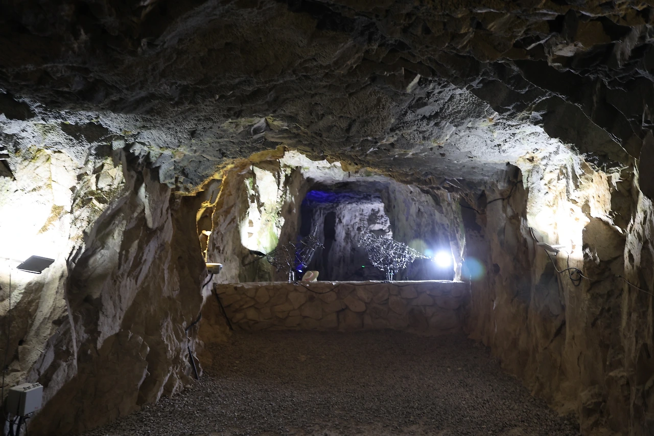 0R5A9937_новый размер.JPG