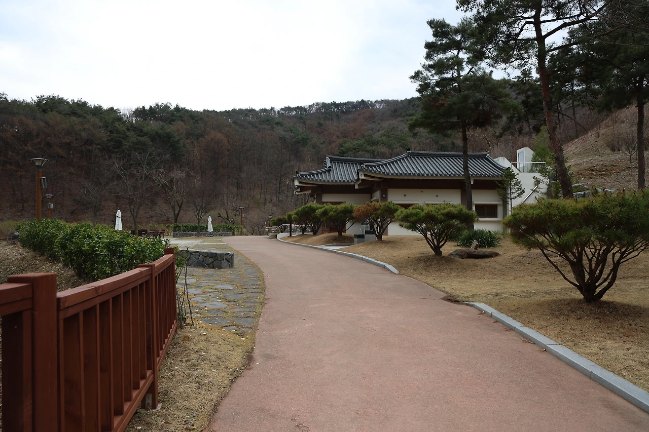 0R5A6868_новый размер.JPG