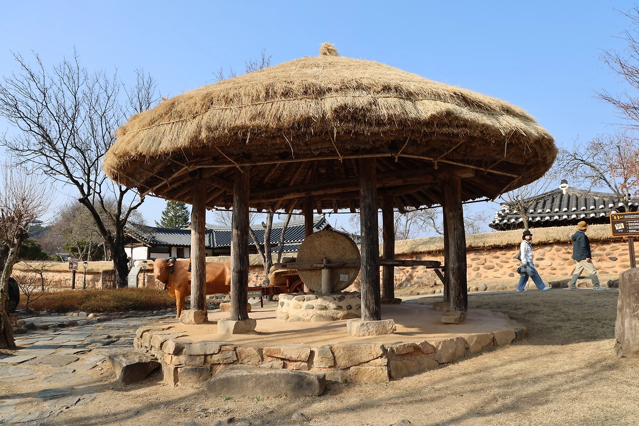 0R5A5646_новый размер.JPG