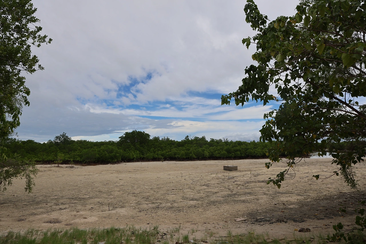 0R5A0846_новый размер.JPG