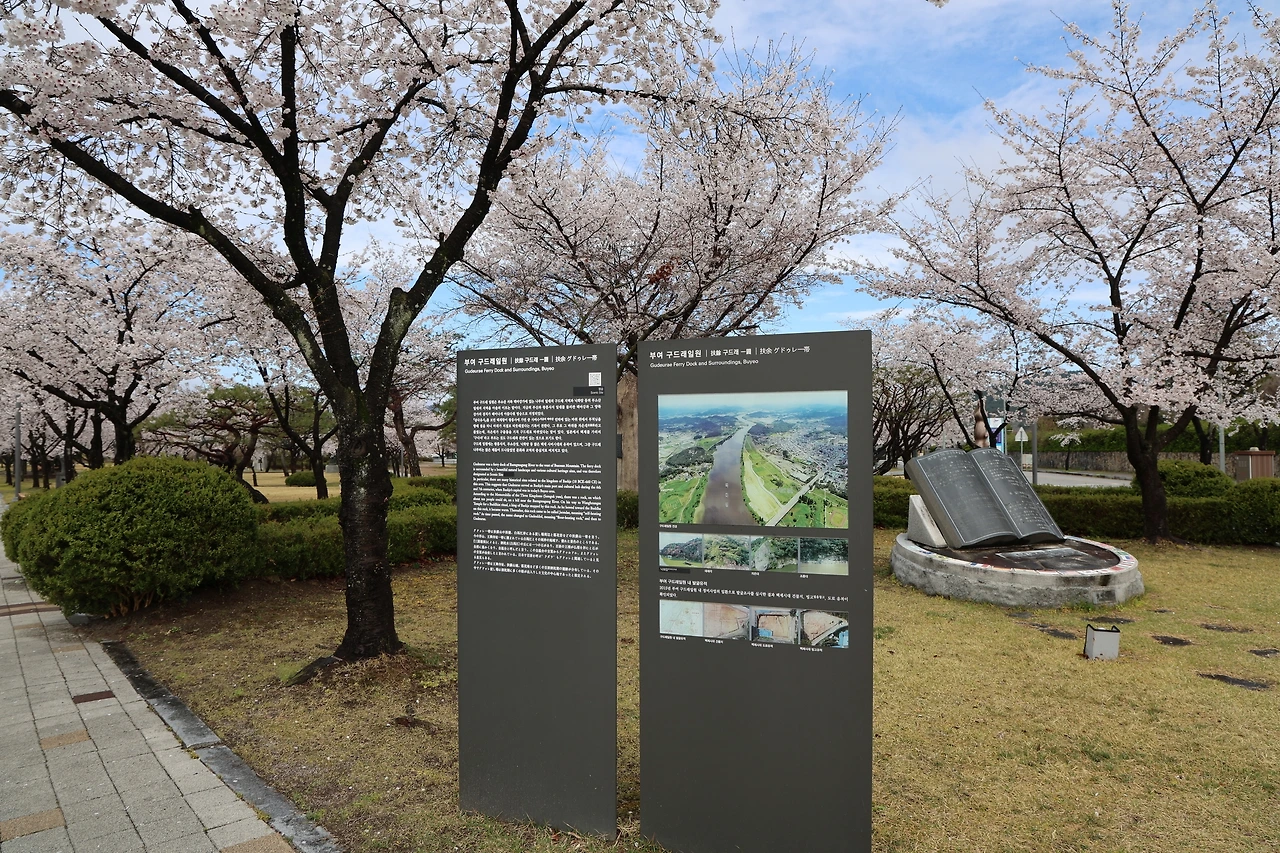 0R5A7311_новый размер.JPG