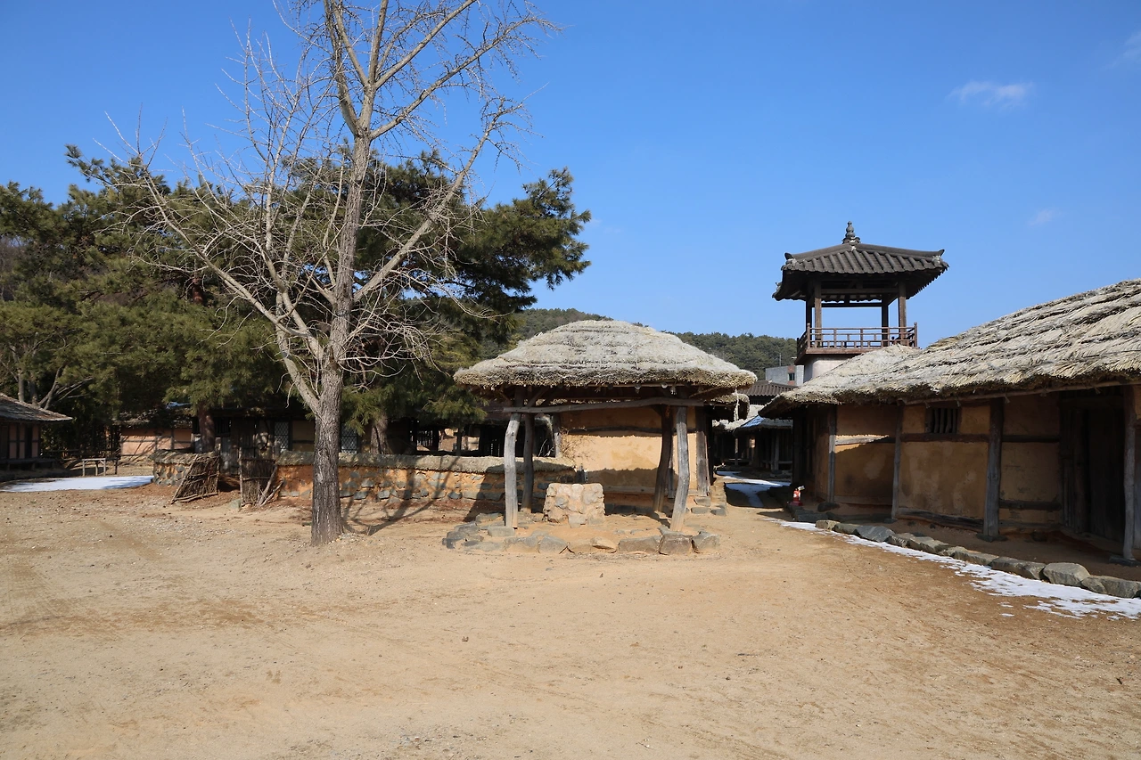 0R5A9596_новый размер.JPG