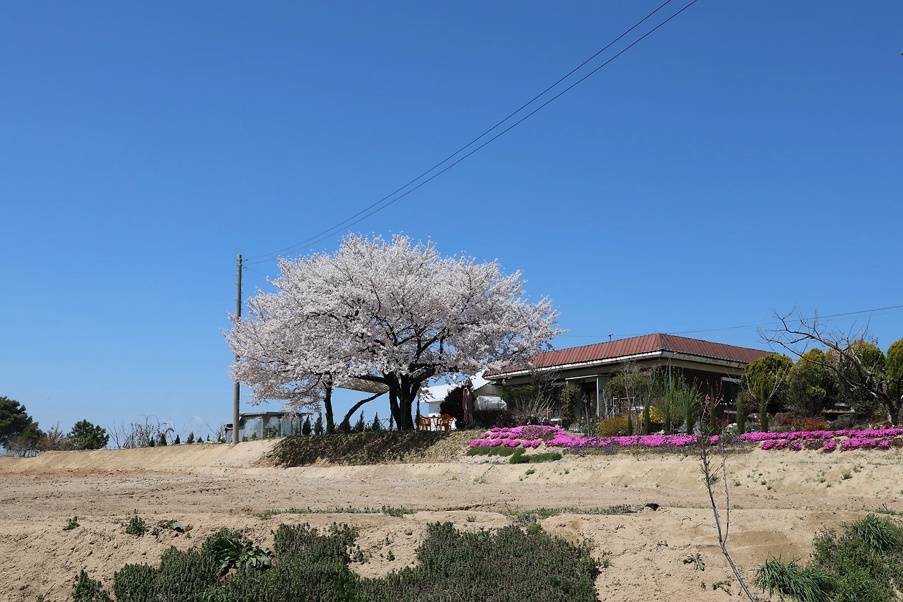 0R5A7690_новый размер.JPG