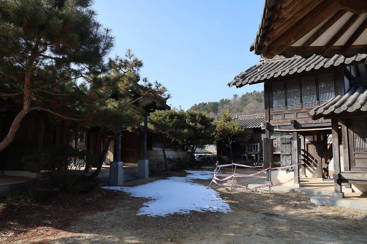 0R5A9580_новый размер.JPG