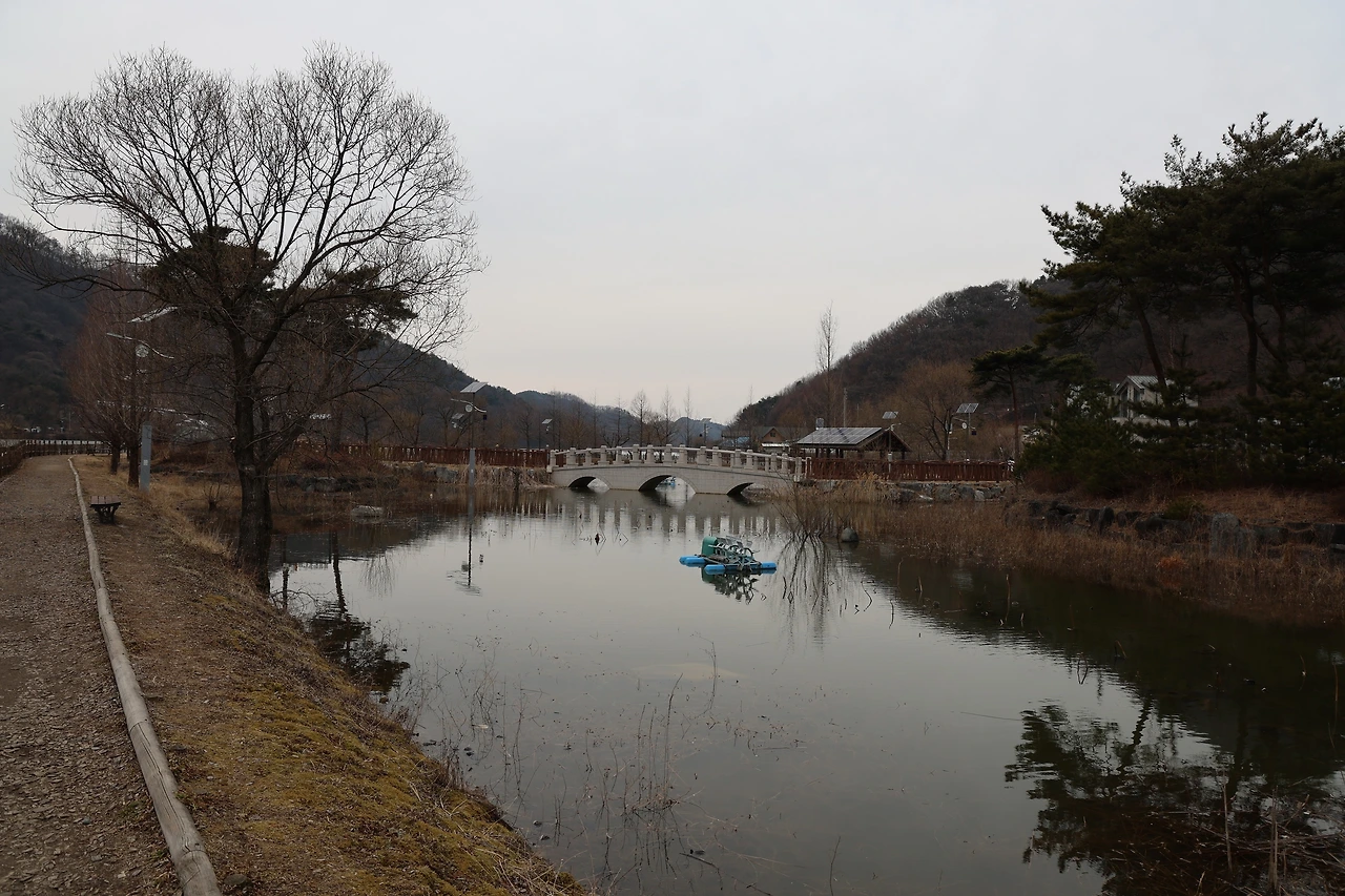 0R5A3650_новый размер.JPG