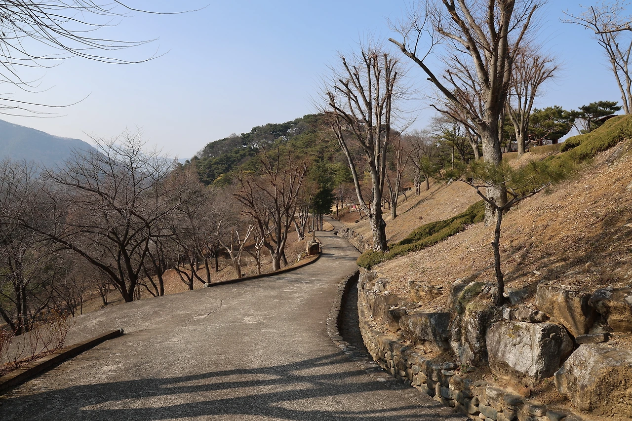 0R5A5596_новый размер.JPG