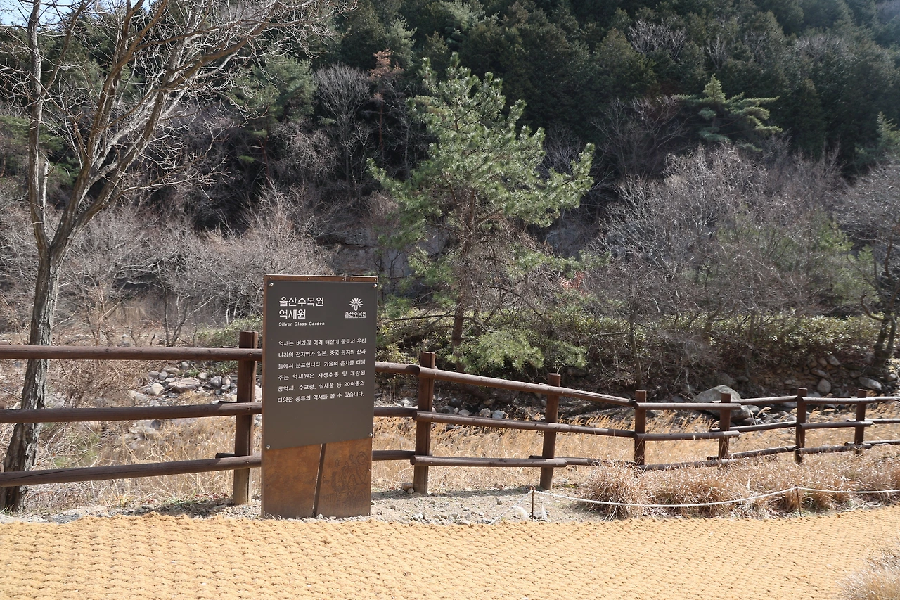 0R5A0269_новый размер.JPG