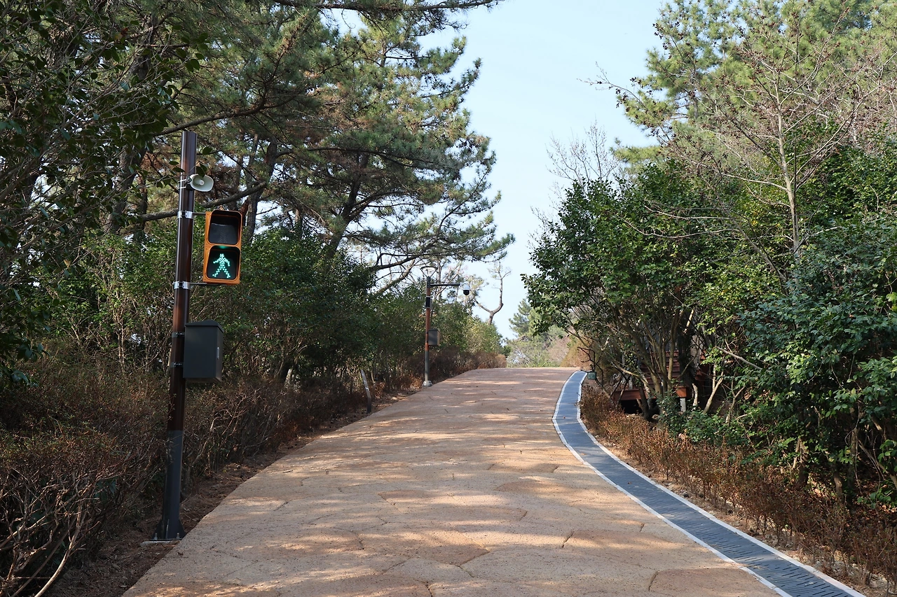 0R5A6035_новый размер.JPG