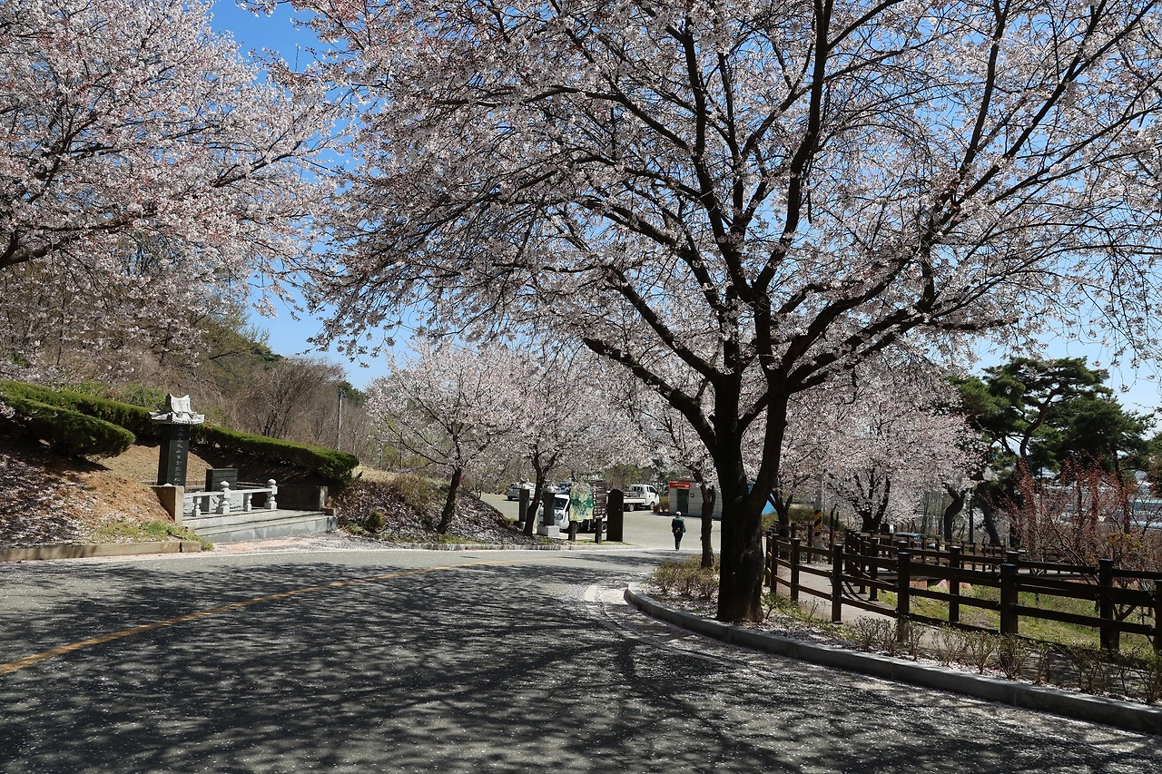 0R5A7713_новый размер.JPG