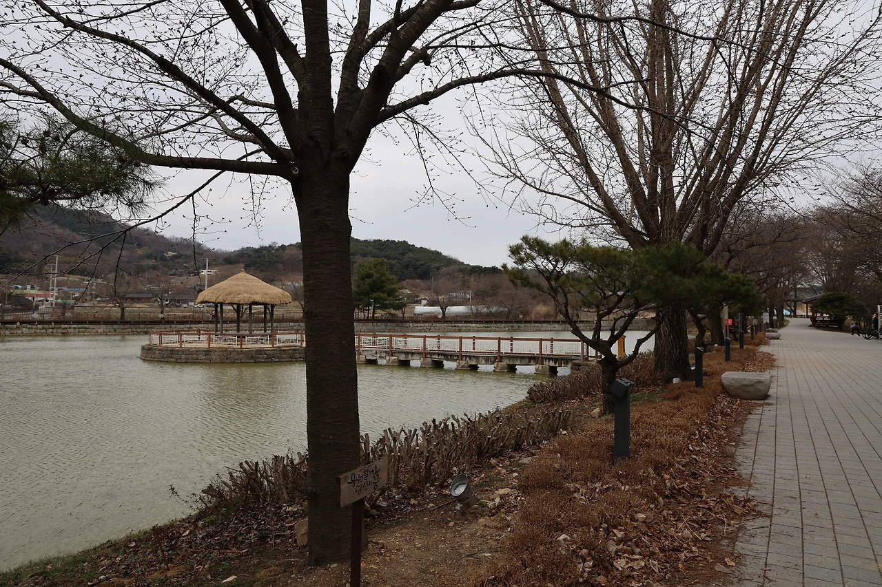 0R5A6709_новый размер.JPG