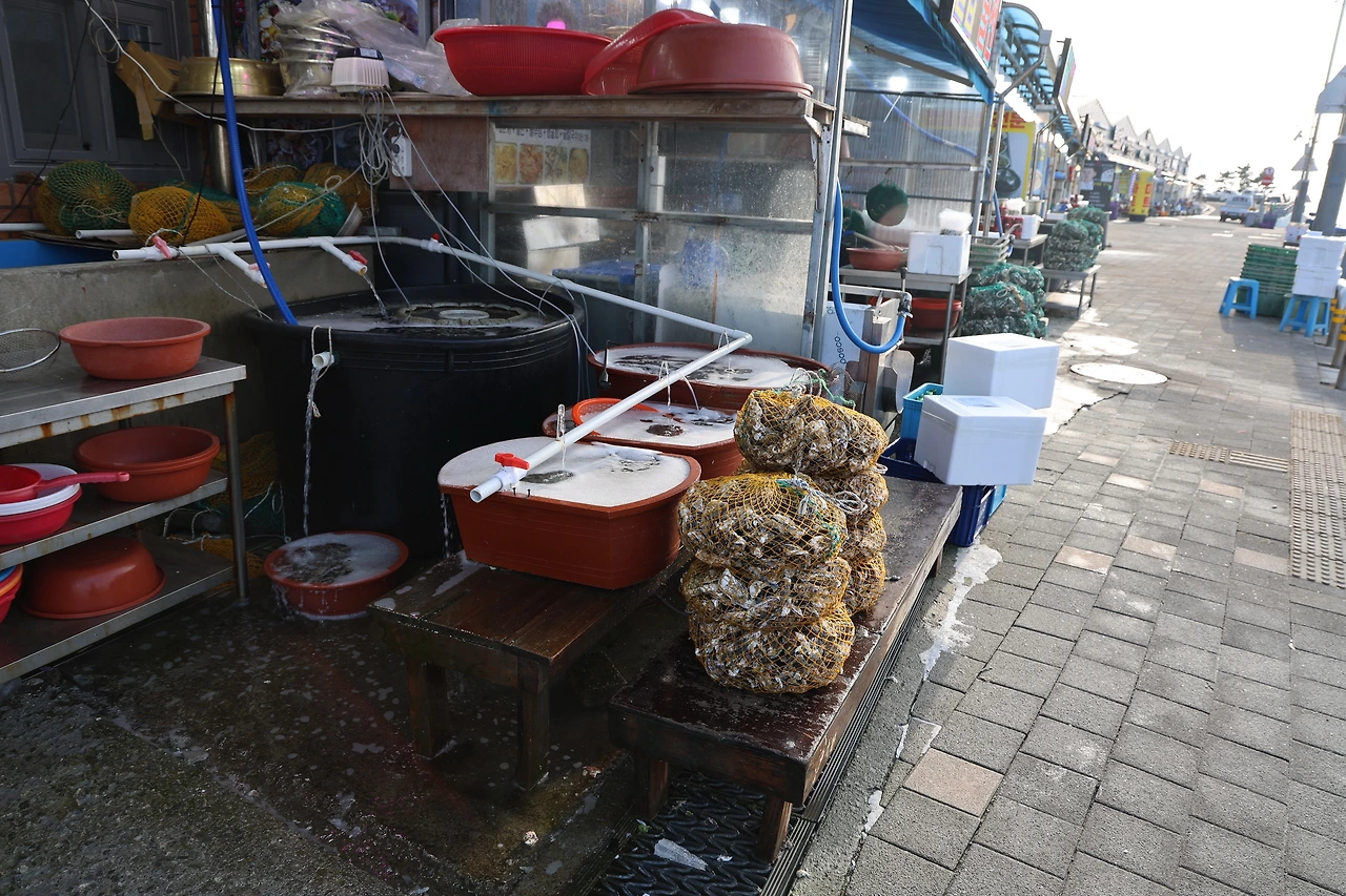 0R5A9646_новый размер.JPG