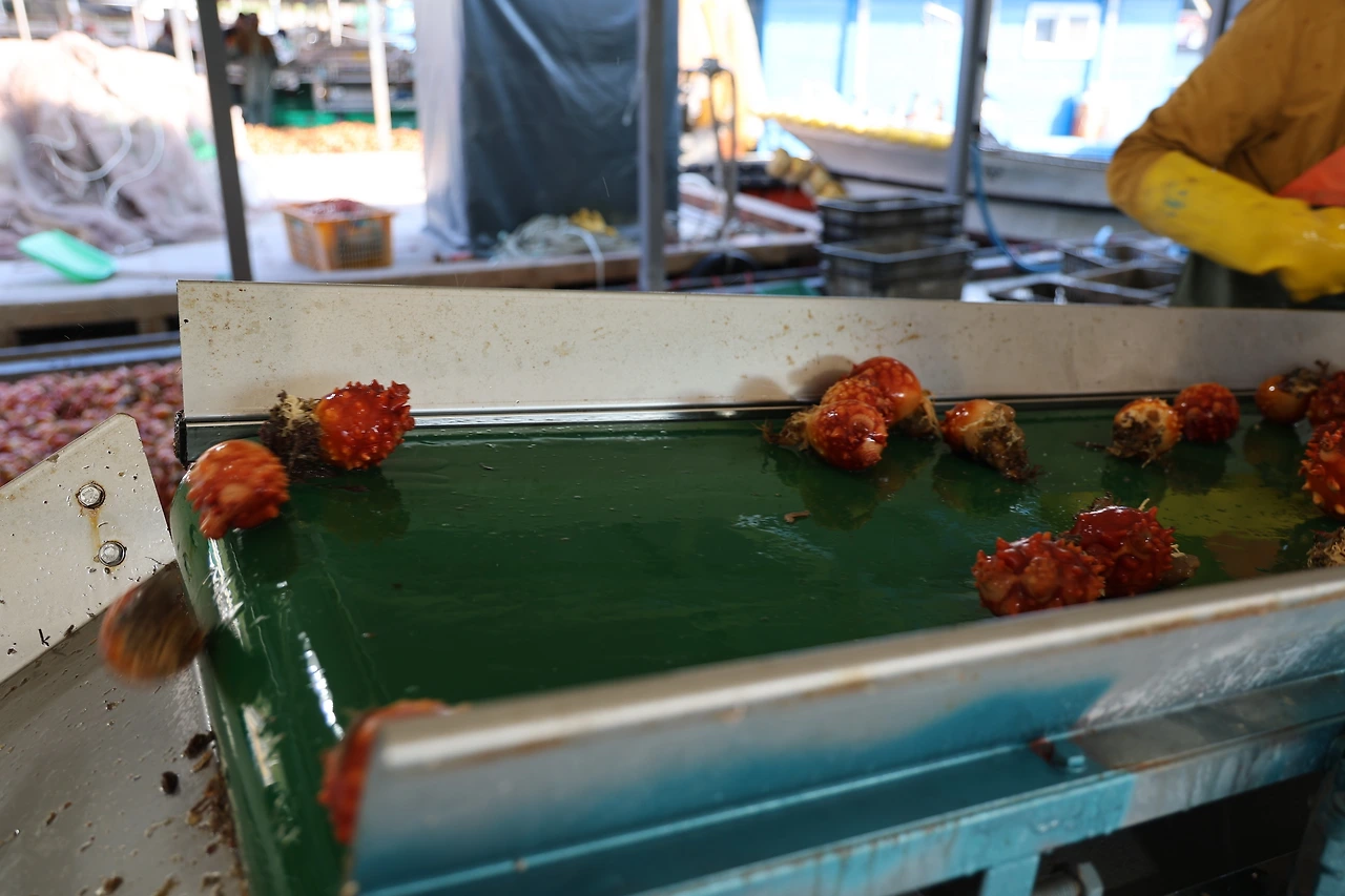 0R5A4996_новый размер.JPG