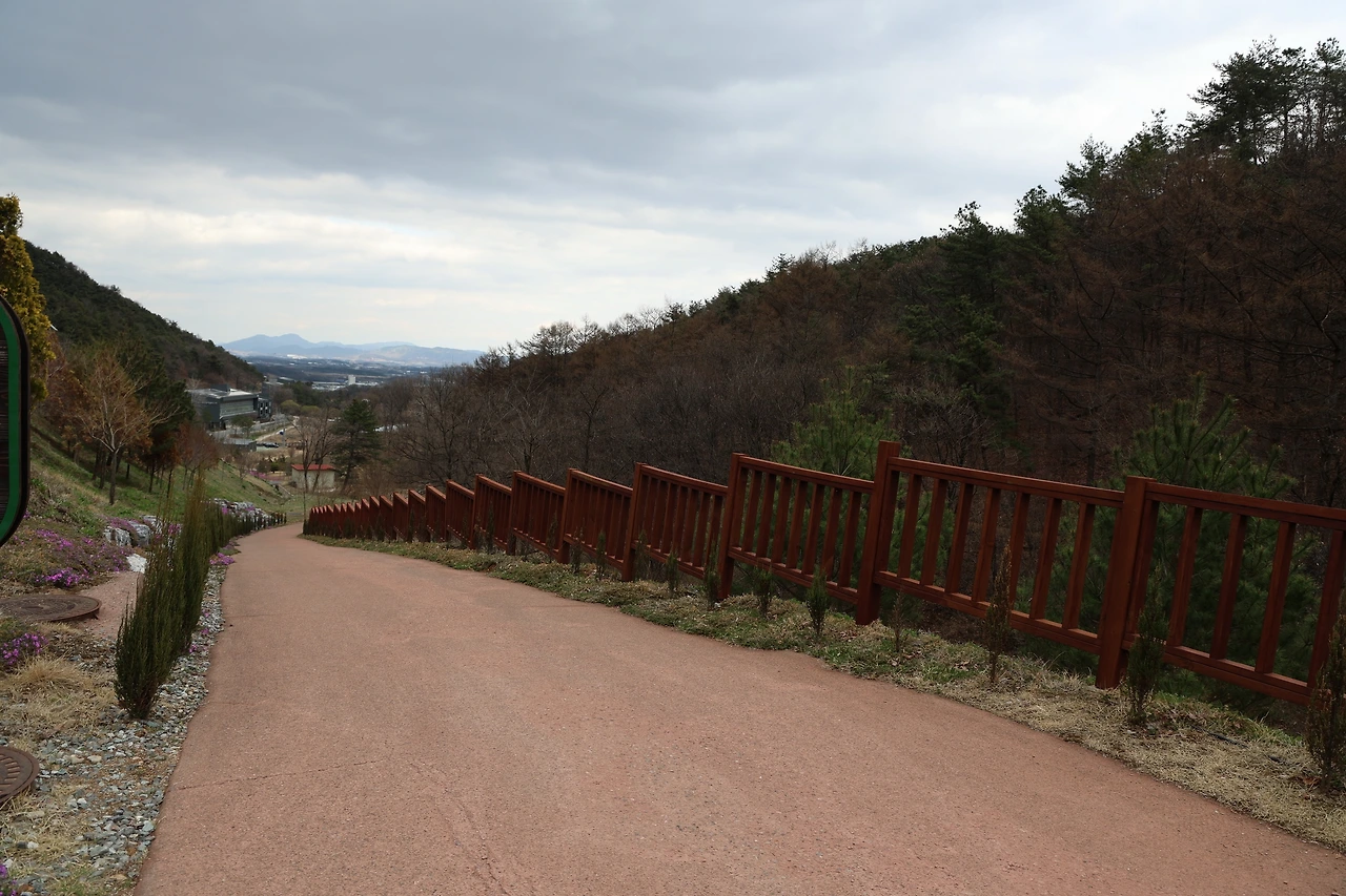 0R5A6862_новый размер.JPG