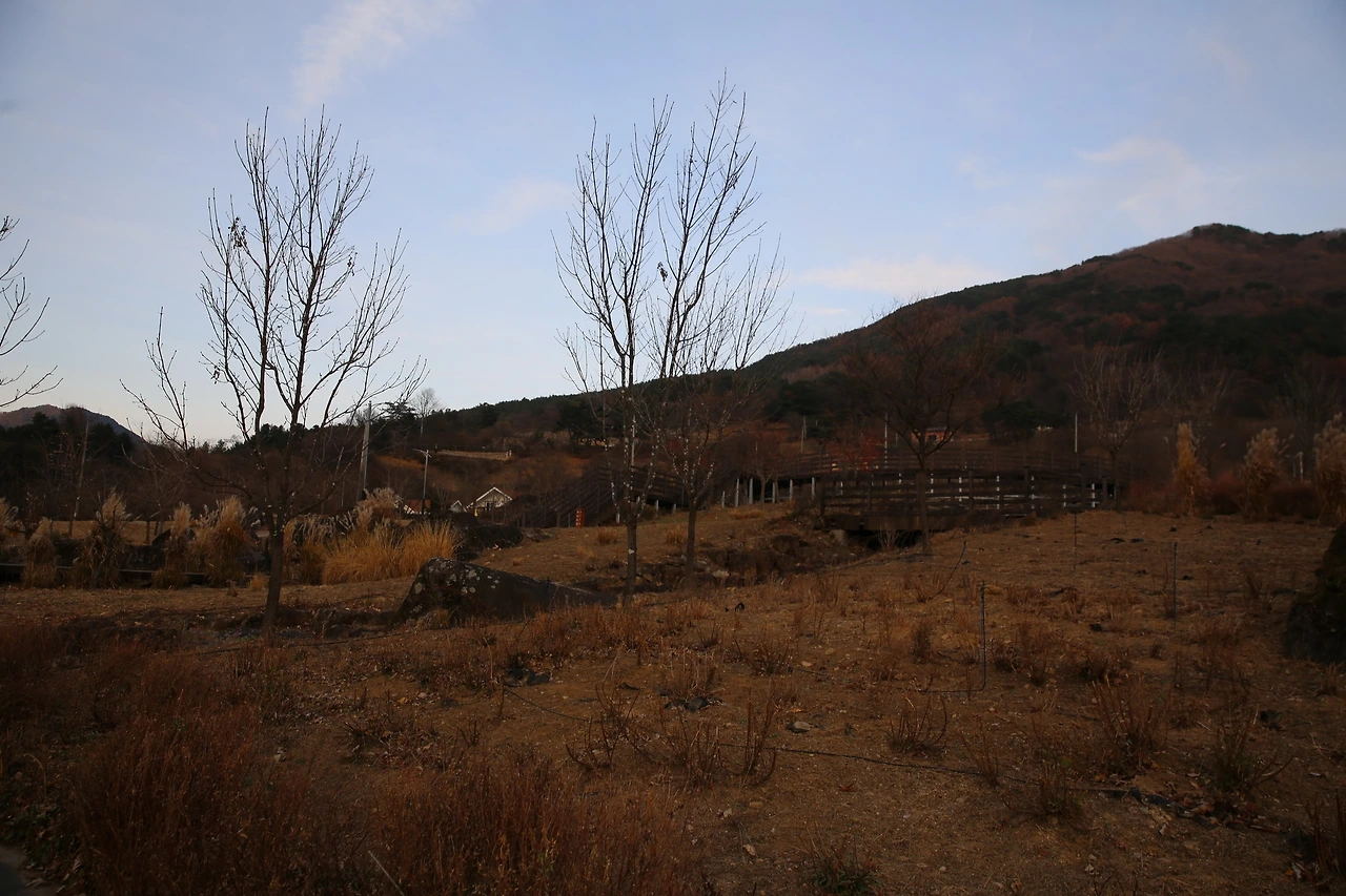 MG0A3782_новый размер.JPG