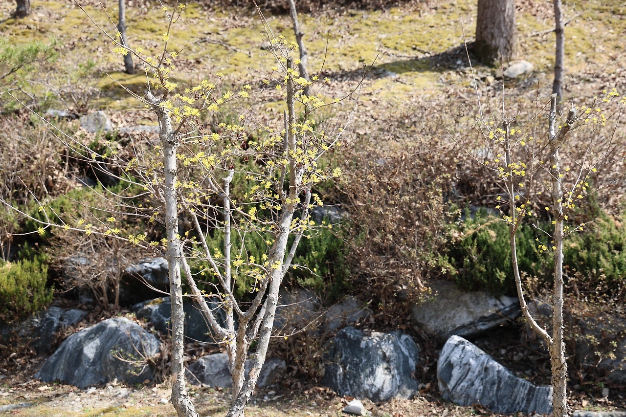 0R5A5817_новый размер.JPG