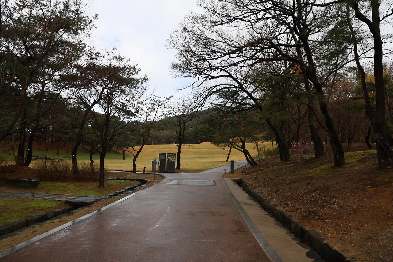 0R5A7280_новый размер.JPG