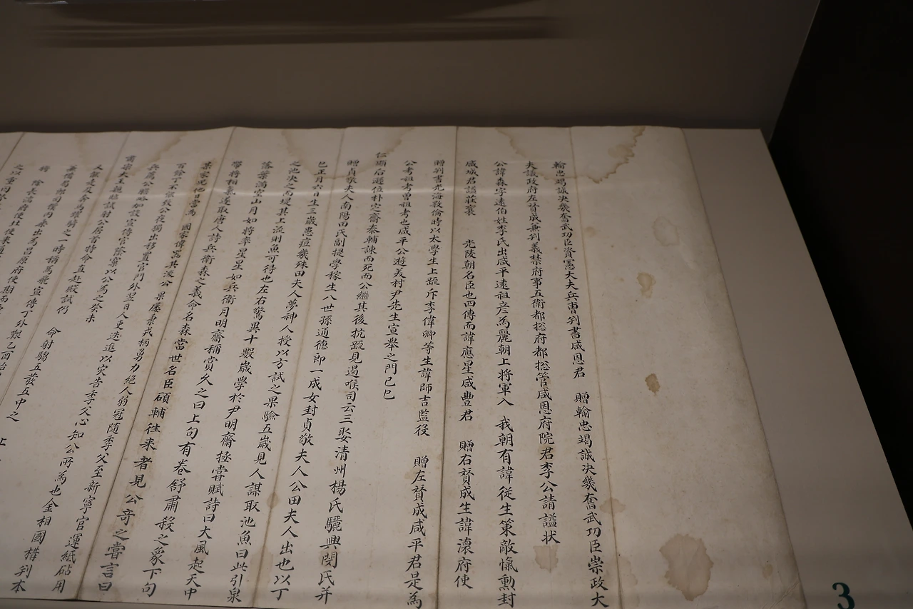 0R5A9069_новый размер.JPG